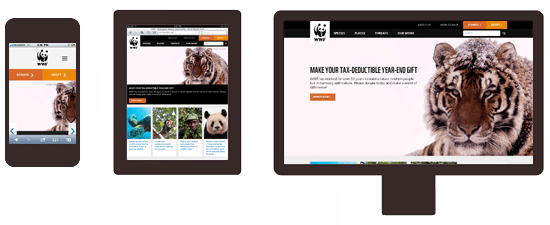 World Wildlife Fund