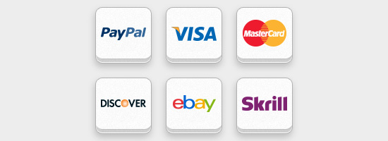 Logos of PayPal, VISA, MasterCard, DISCOVER, eBay, and Skrill on white rectangular buttons.