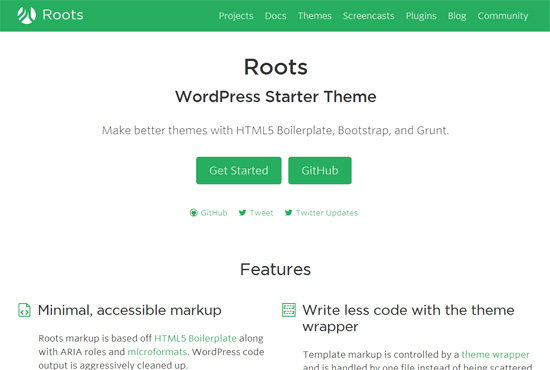 0398 01 blank wordpress theme roots