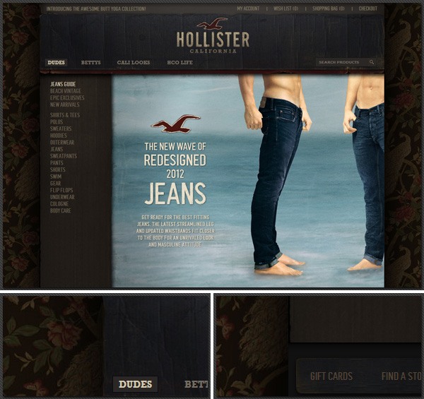 Hollister Co.