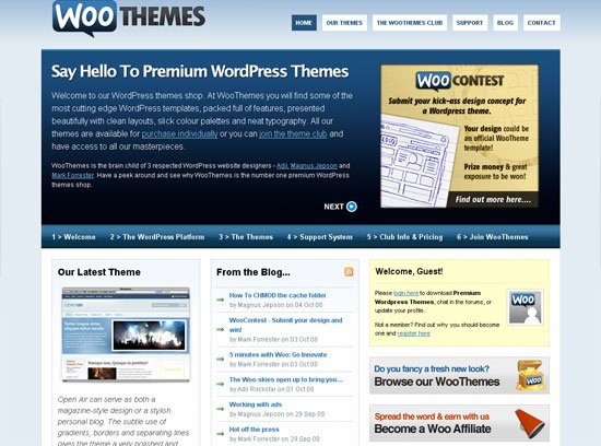 WooThemes - screen shot.