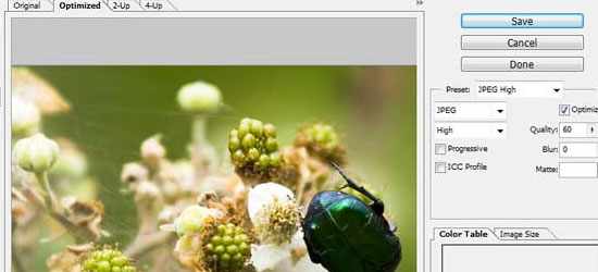 Saving Images for the Web - screen shot.