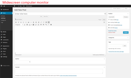 Screenshot of a WordPress 'Add New Post' page on a widescreen monitor with options for publishing and categorizing the post.