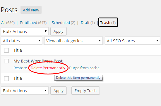 WordPress Trash folder