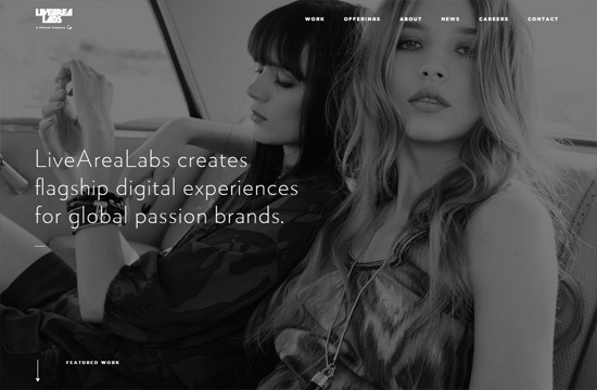 Example of a website with a large background image: LiveAreaLabs