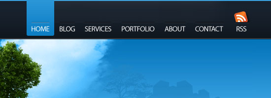 TORRANCE WEB DESIGN screen shot.