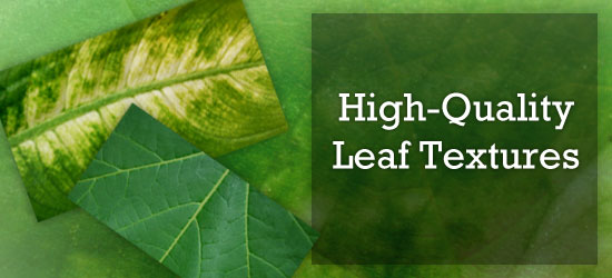 Three overlapping leaf sections with various textures on a green background, with the text 'High-Quality Leaf Textures'.