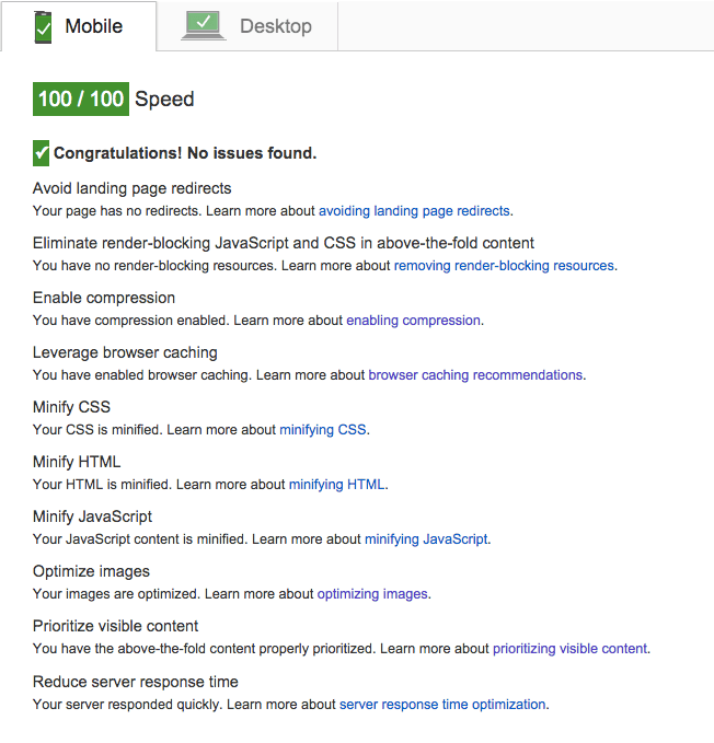 Perfect score for PageSpeed Insights - Desktop