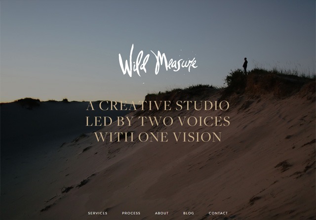 Earth-toned web design: Wild Measure