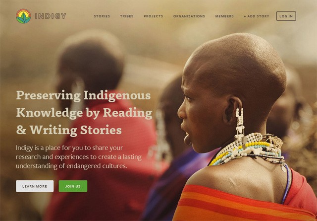 Earth-toned web design: Indigy