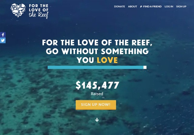 0547 17 colorful website fortheloveof