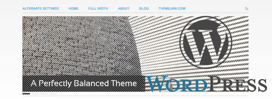 Website header with a split background design featuring a dense dot pattern on the left and stripes on the right, with the WordPress logo and the text 'WORDPRESS' overlaid on the right side. The phrase 'A Perfectly Balanced Theme' is centered across the image, with navigation links above.