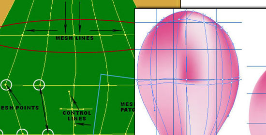 Gradient Meshes Introduction - preview.