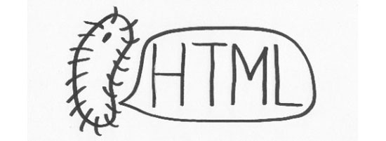 08 05 html