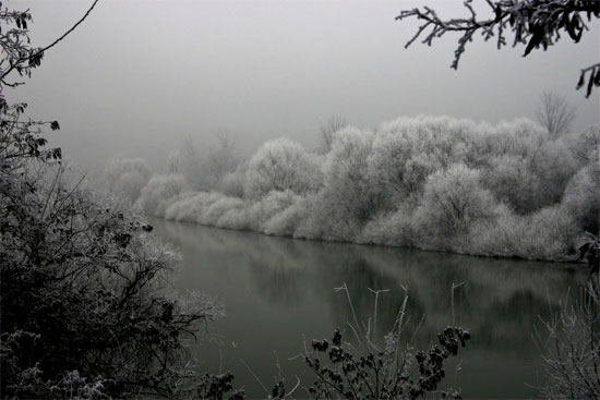 Winter at the river