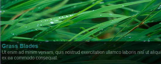 Simple jQuery Image Slide Show with Semi-Transparent Caption screen shot.