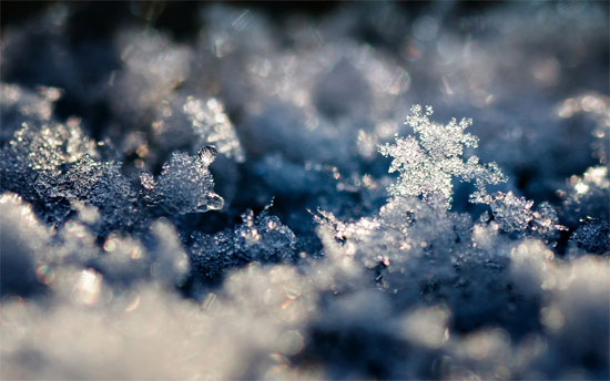 Snow Crystal Landscape