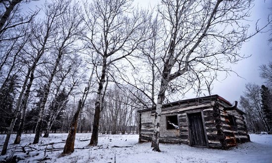 The Old Hunting Shack