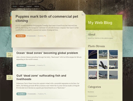 Screenshot of a vintage-style blog webpage titled 'My Web Blog' with posts about pet cloning and environmental issues, and a sidebar featuring an 'About' section and a 'Photo Stream' with airplane photos.