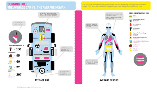 Burning Fuel: The Average Car vs. The Average Human