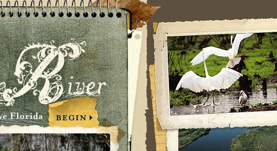 A creative collage with a vintage notebook cover on the left labeled 'River' and 'Florida' with an arrow pointing to a photograph on the right of a white bird in flight over a body of water, with trees and another bird in the background.