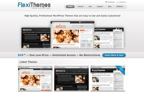 FlexiThemes