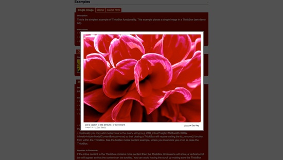 Thickbox - screen shot.