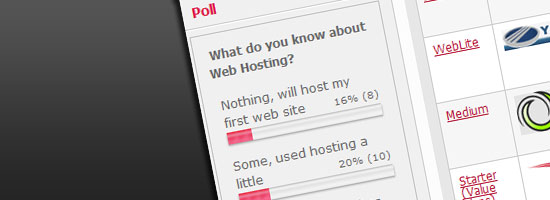 Screenshot of a web hosting knowledge poll with two options: 'Nothing, will host my first web site' at 16% (8 votes) and 'Some, used hosting a little' at 20% (10 votes), with red bars indicating vote percentages.