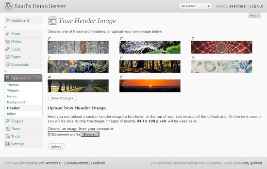 WordPress 3.0 Headers