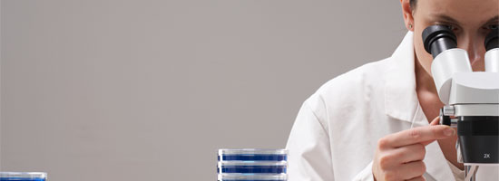 A scientist in a white lab coat examining a sample through a microscope, with stacked petri dishes in the foreground.