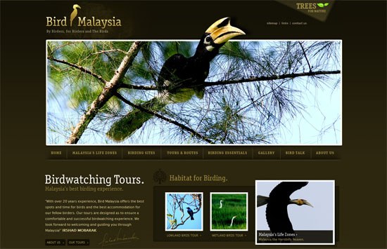 Bird Malaysia