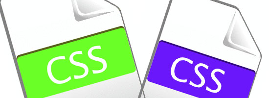 Two stylized icons of document files with the label 'CSS' on them, one with a green label and the other with a purple label.