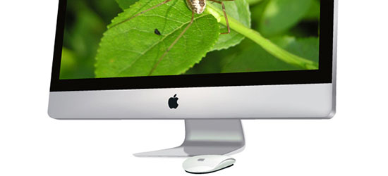 How to Create a Photorealistic iMac and Magic Mouse