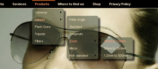 Close-up of a person wearing glasses with a website's dropdown menu overlay showing camera products, including various types of lenses and their focal length ranges.