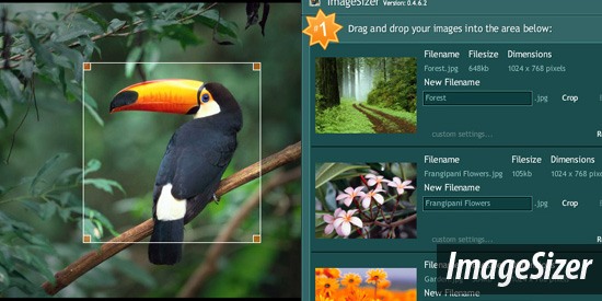 Screenshot of ImageSizer software interface with drag-and-drop functionality, displaying images for resizing including a selected toucan, a forest, and frangipani flowers.