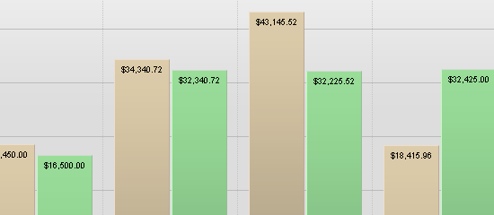 CSS Vertical Bar Graphs screen shot.