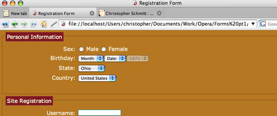 Styling Forms with Attribute Selectors - screen shot.