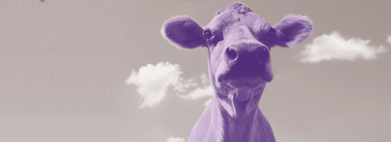 How to Be a Purple Cow Among Designers