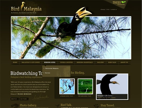 Bird Malaysia - screen shot.