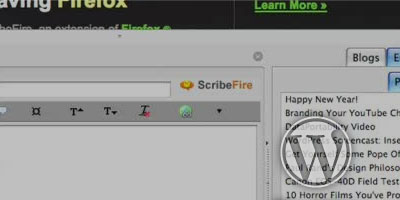 How do I write WordPress blog posts with the ScribeFire Firefox add-on? - screen shot.