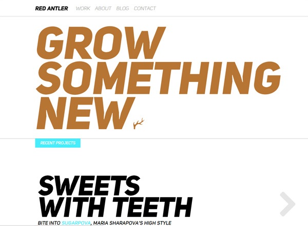 Minimalist website design inspiration: Red Antler