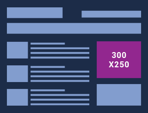 Google ad size 300 x 250