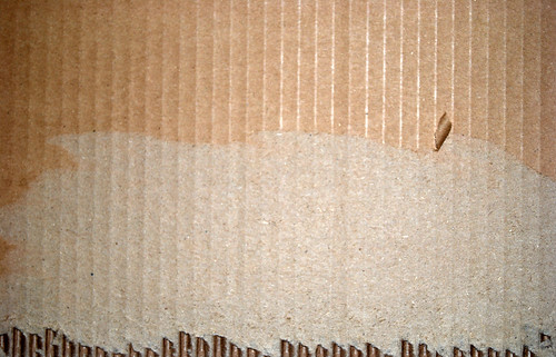 01_cardboard_exposed_bottom