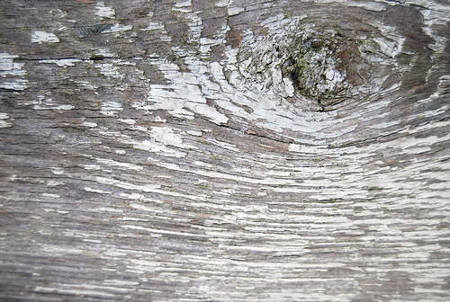 Wood Texture 05