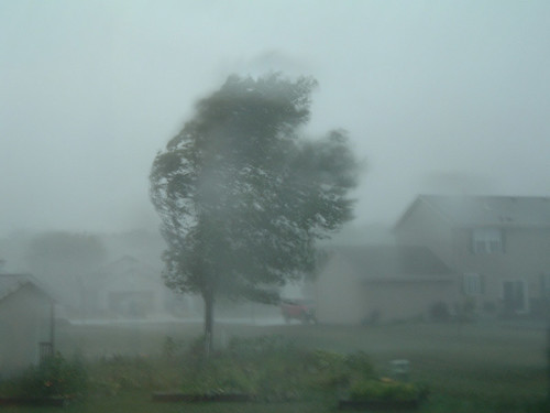 The Storm of eCommerce Holiday Shopping
