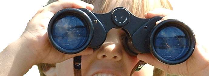 A person looking through binoculars with the lenses covering most of the face, only revealing the eyes and forehead.