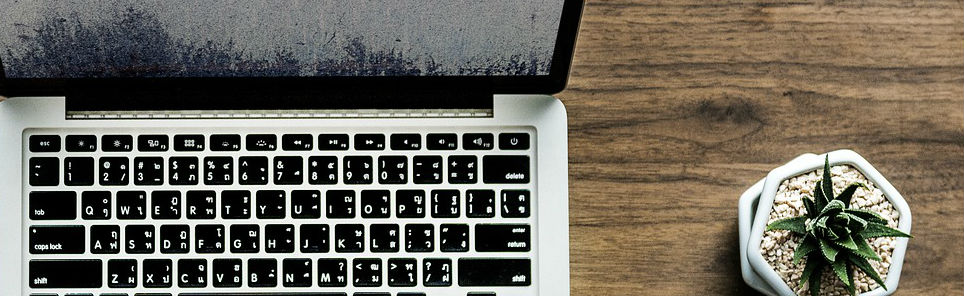 A laptop with a dusty screen and a potted succulent plant to the right, all on a wooden surface.