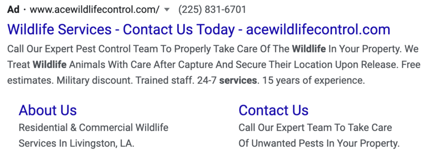 ace wildlife control ppc ad