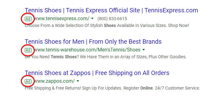 Google search result with PPC ads