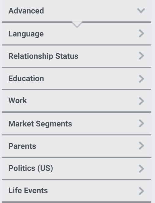 List of advanced filters through Facebook Insights